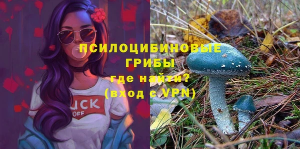 дурь Осинники