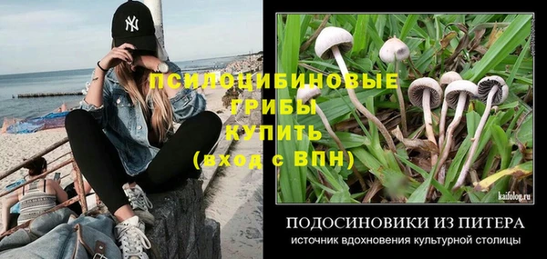 дурь Осинники