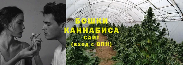 дурь Осинники