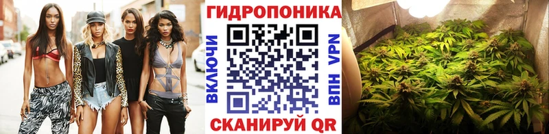 Марихуана семена  Купить закладки  Новоржев 